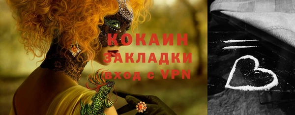 индика Беломорск