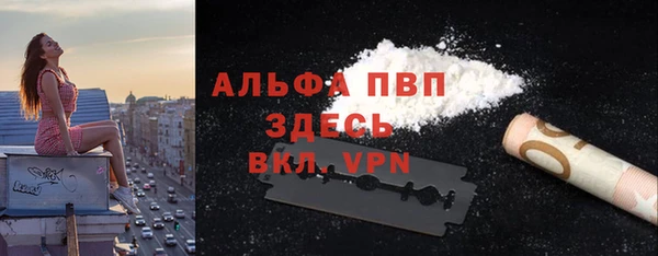 индика Беломорск