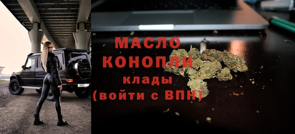 индика Сосновка