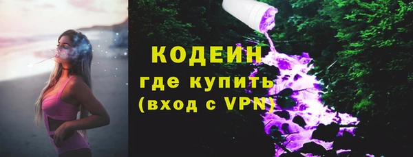 индика Беломорск
