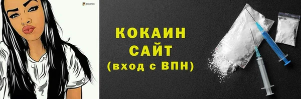 индика Беломорск