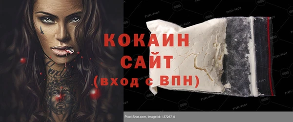индика Беломорск
