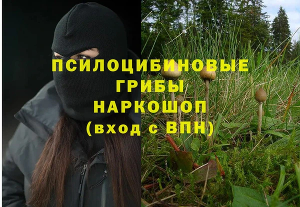 индика Сосновка