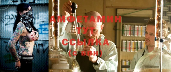 индика Беломорск