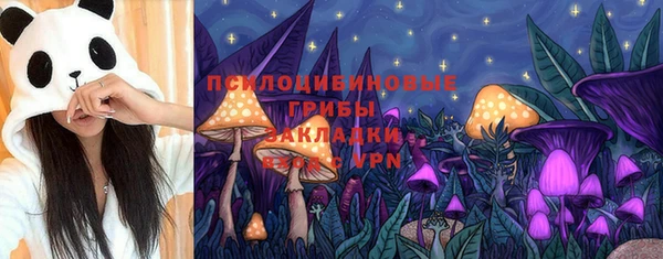 индика Беломорск