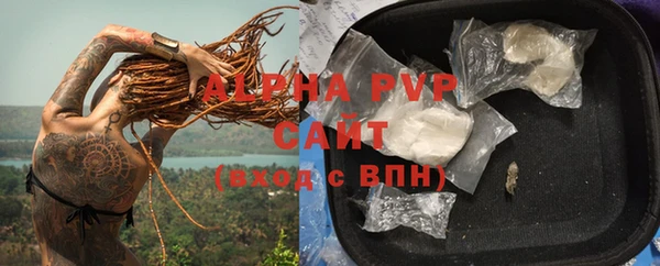 индика Беломорск